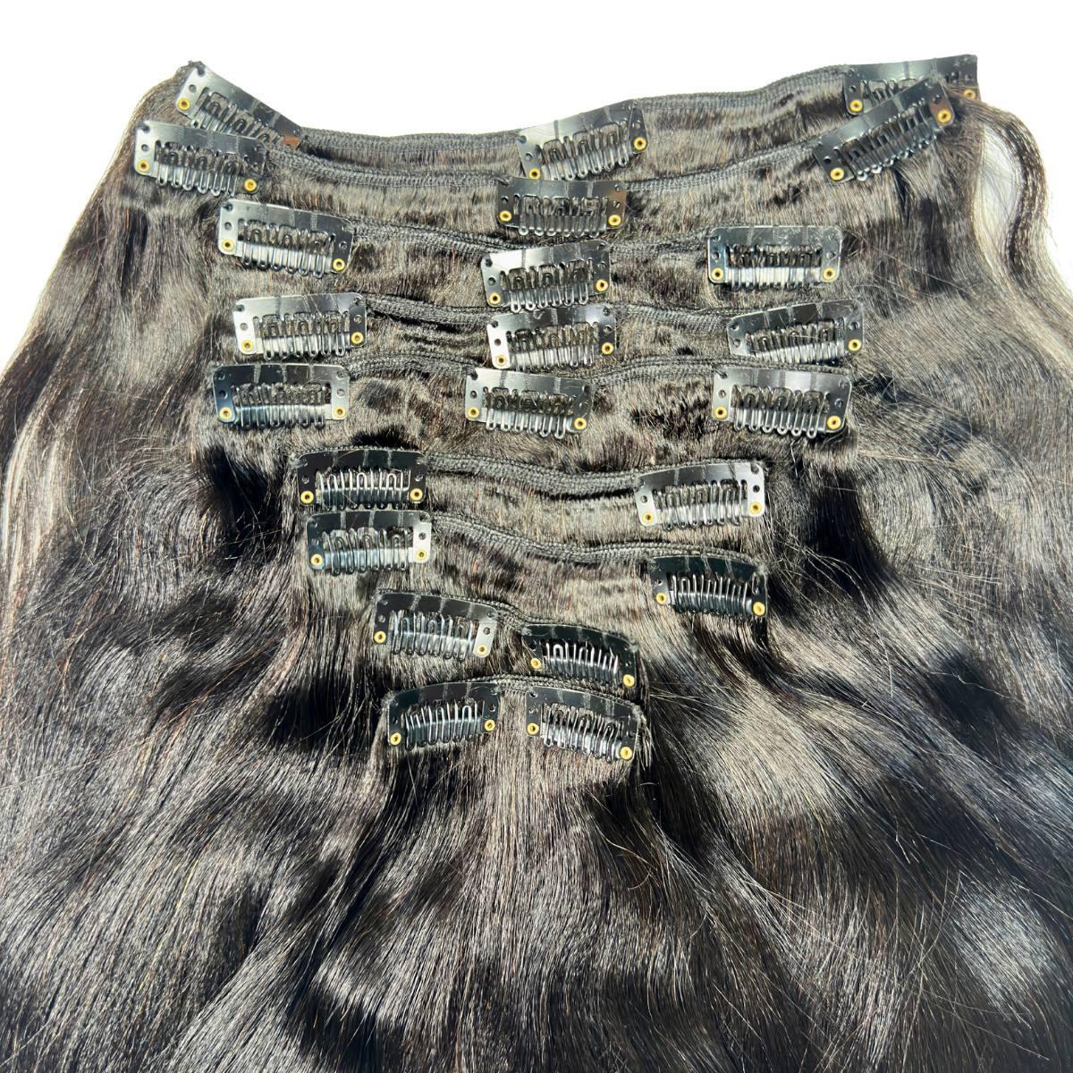 Natural Clip-In Hair Extensions