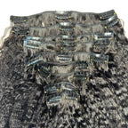 Natural Clip-In Hair Extensions