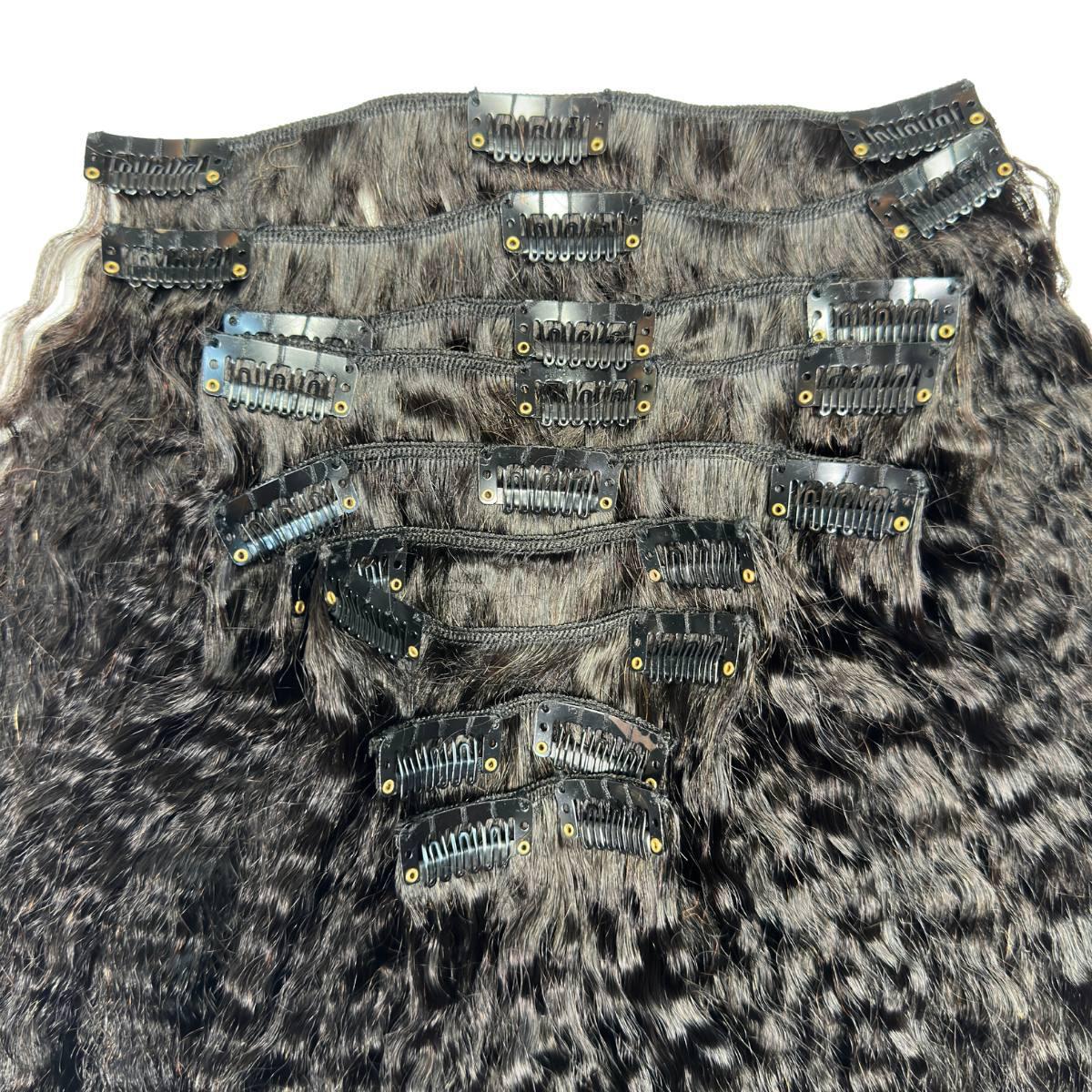 Natural Clip-In Hair Extensions